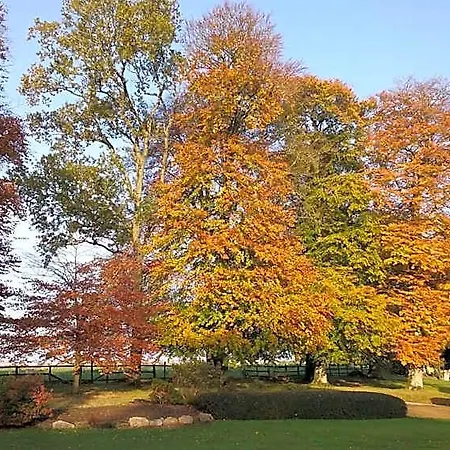 Courtyard Hotel Rathvilly